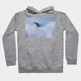 Osprey_VOA7580 Hoodie